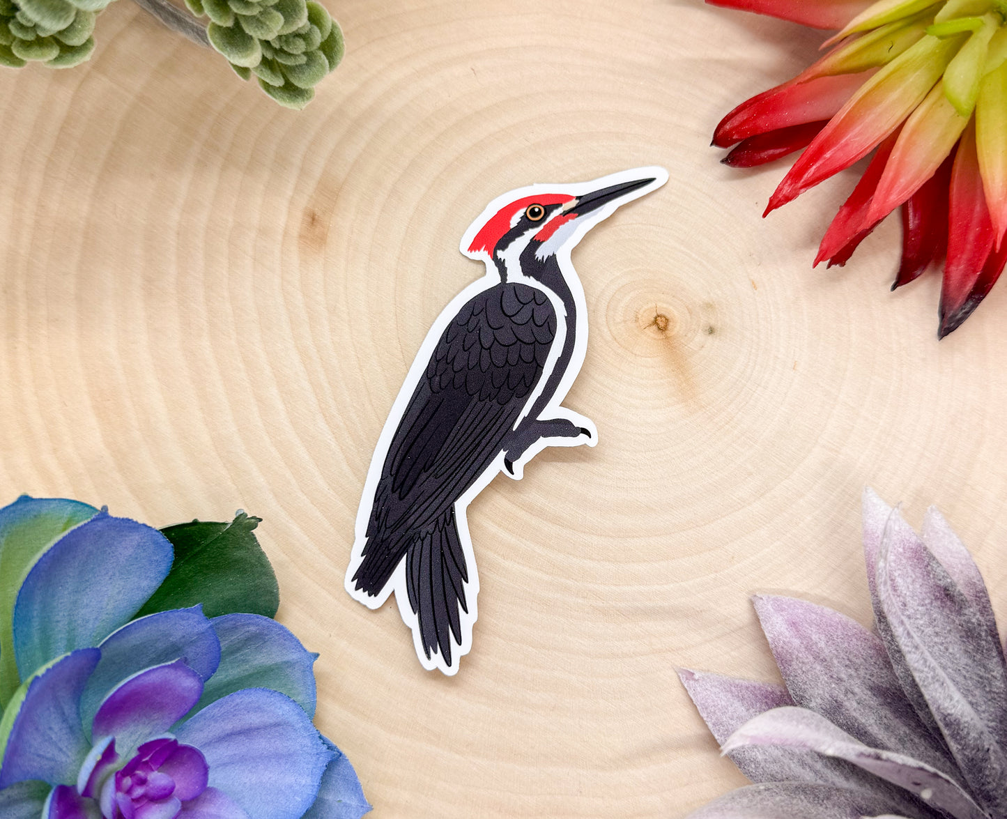 Pileated Woodpecker Sticker