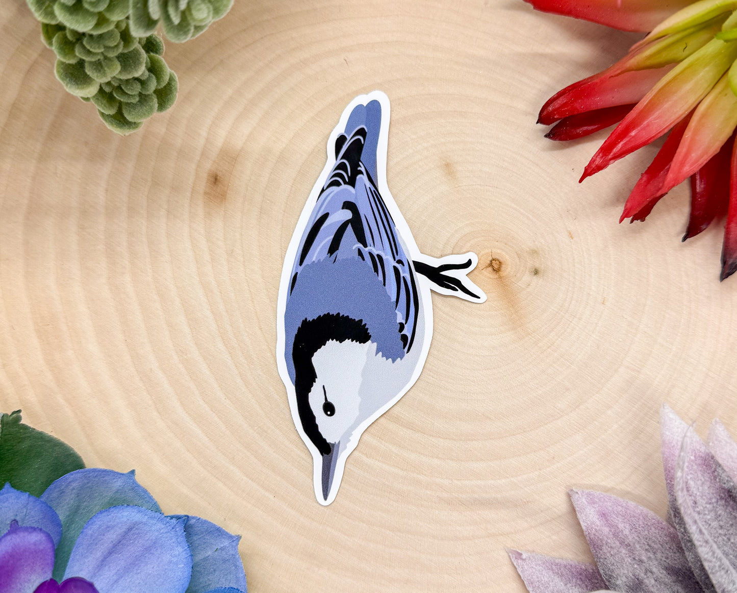 White Breasted Nuthatch Sticker
