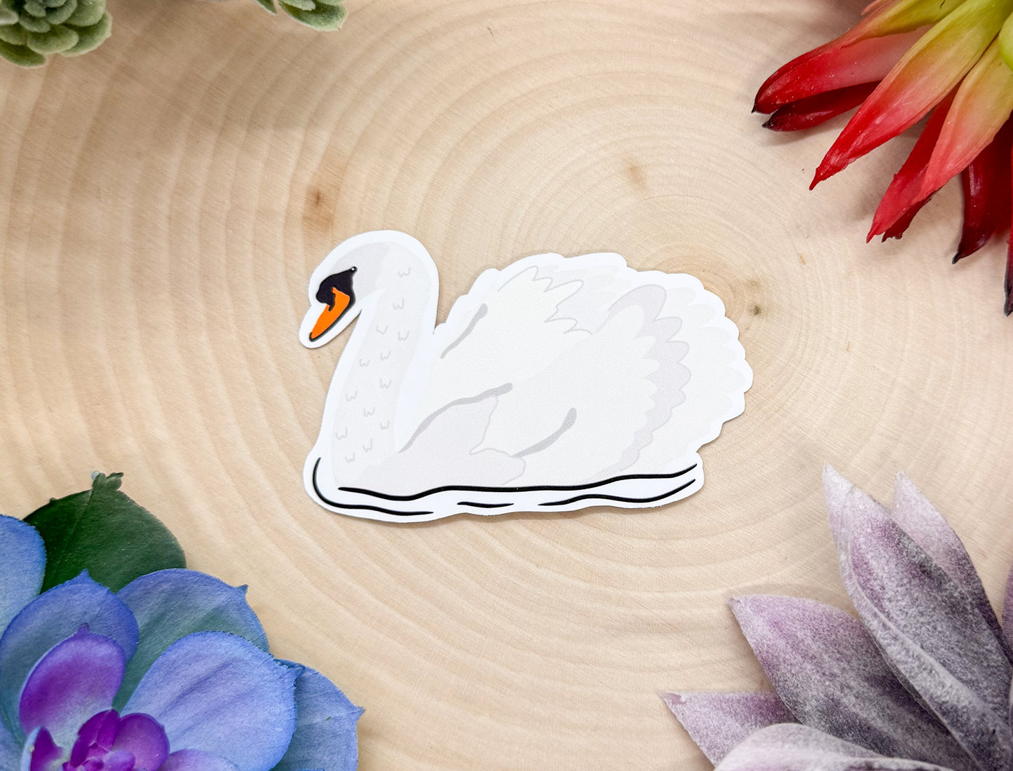Mute Swan Sticker