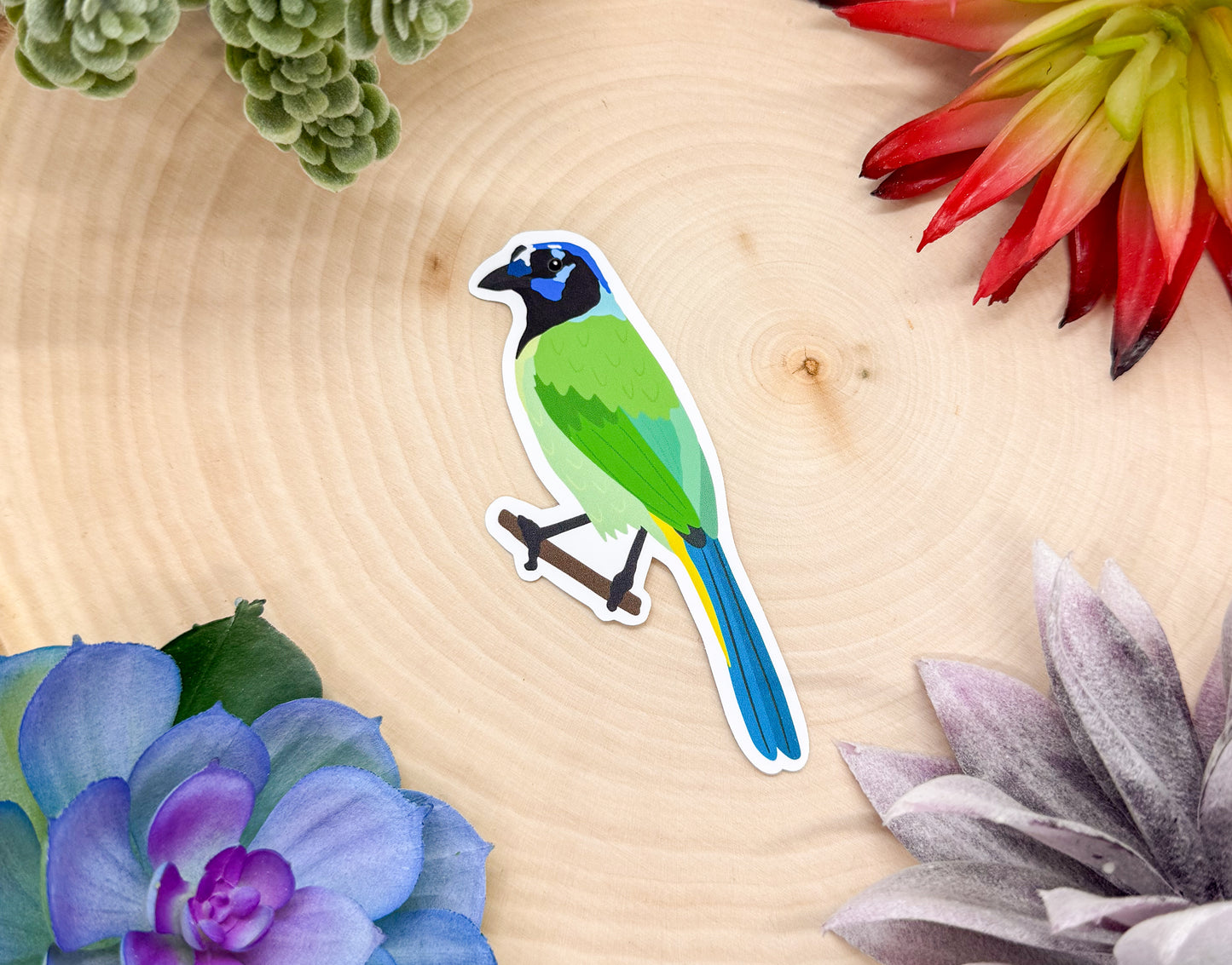 Green Jay Sticker