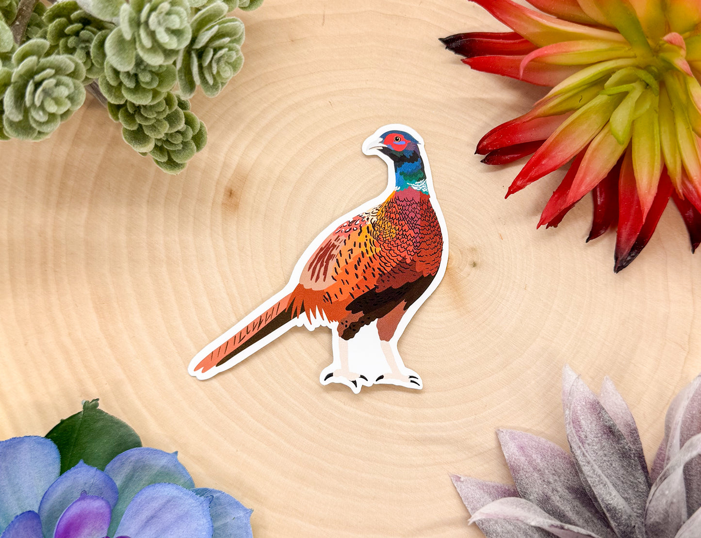 Pheasant Sticker