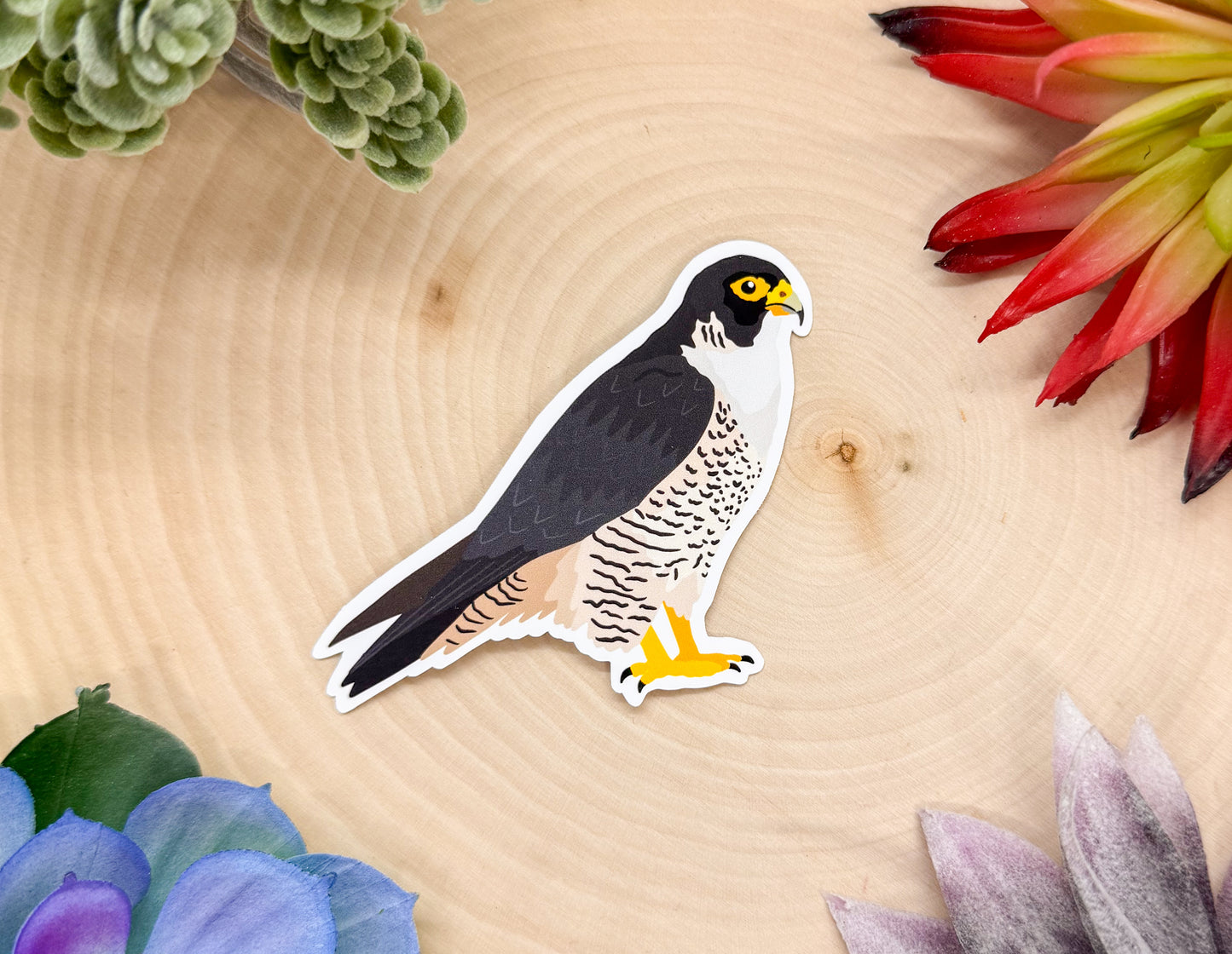 Peregrine Falcon Sticker