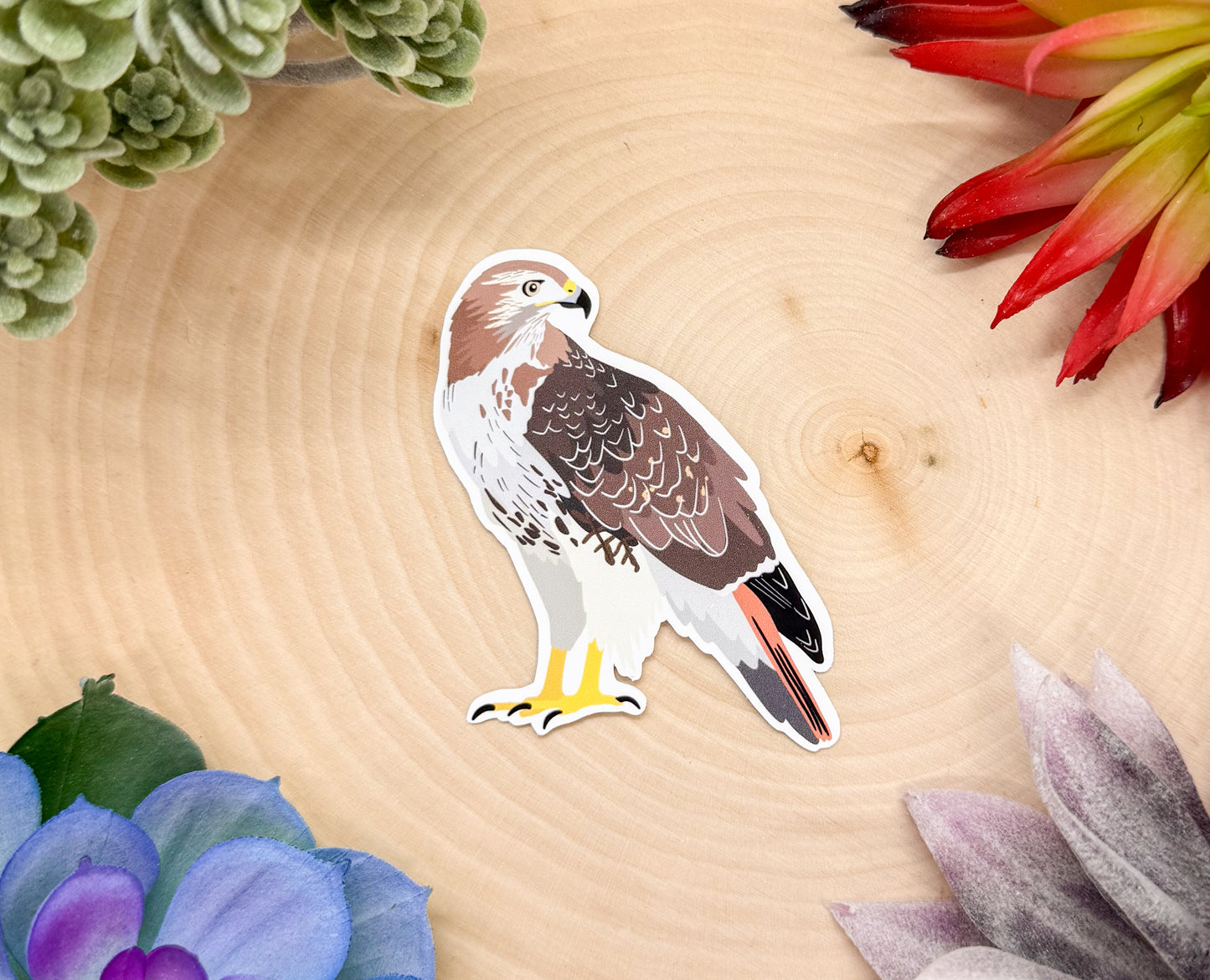 Red Tailed Hawk Sticker