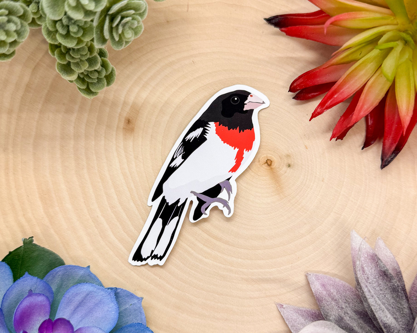 Rose Breasted Grosbeak Sticker