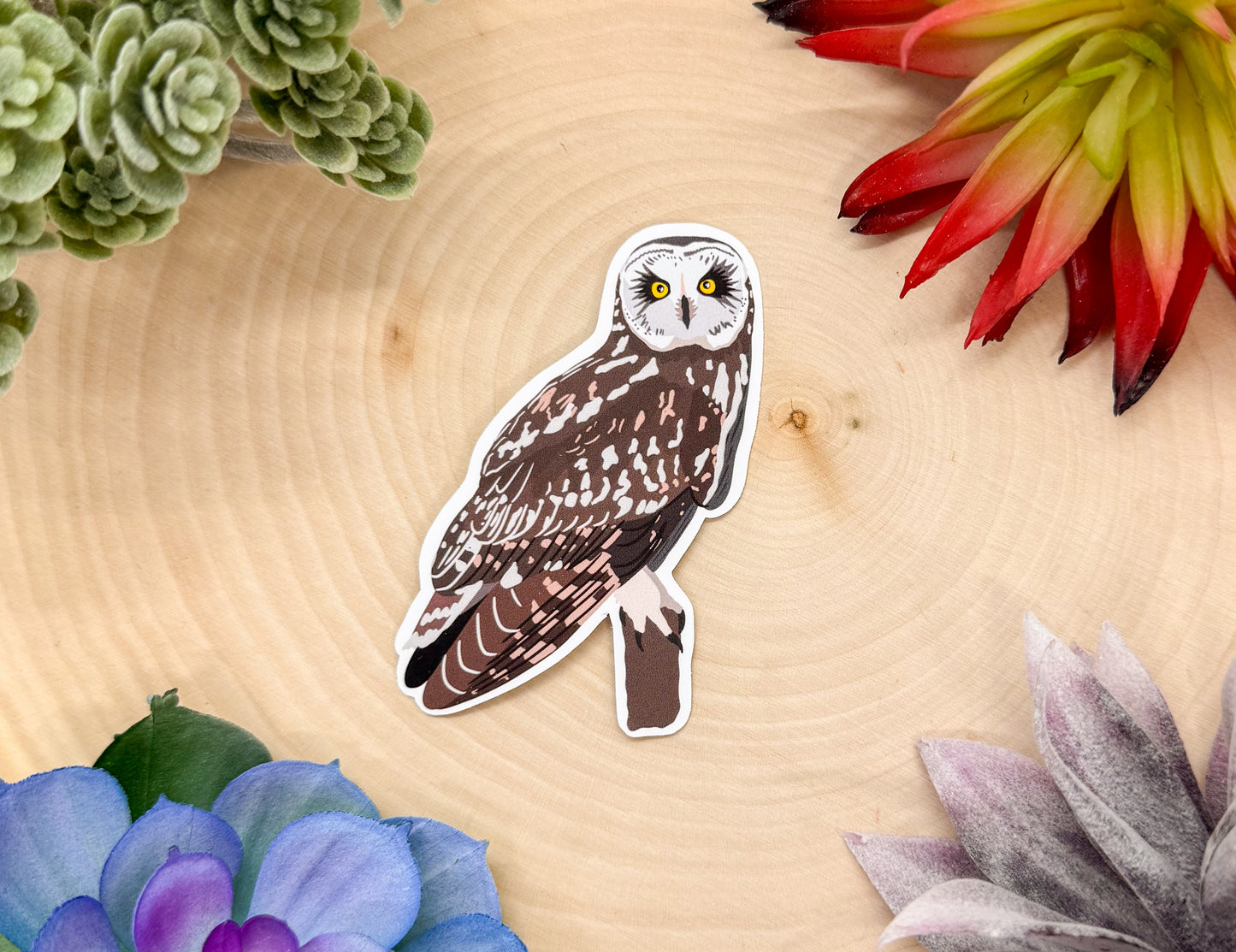 Short Eared Owl Sticker