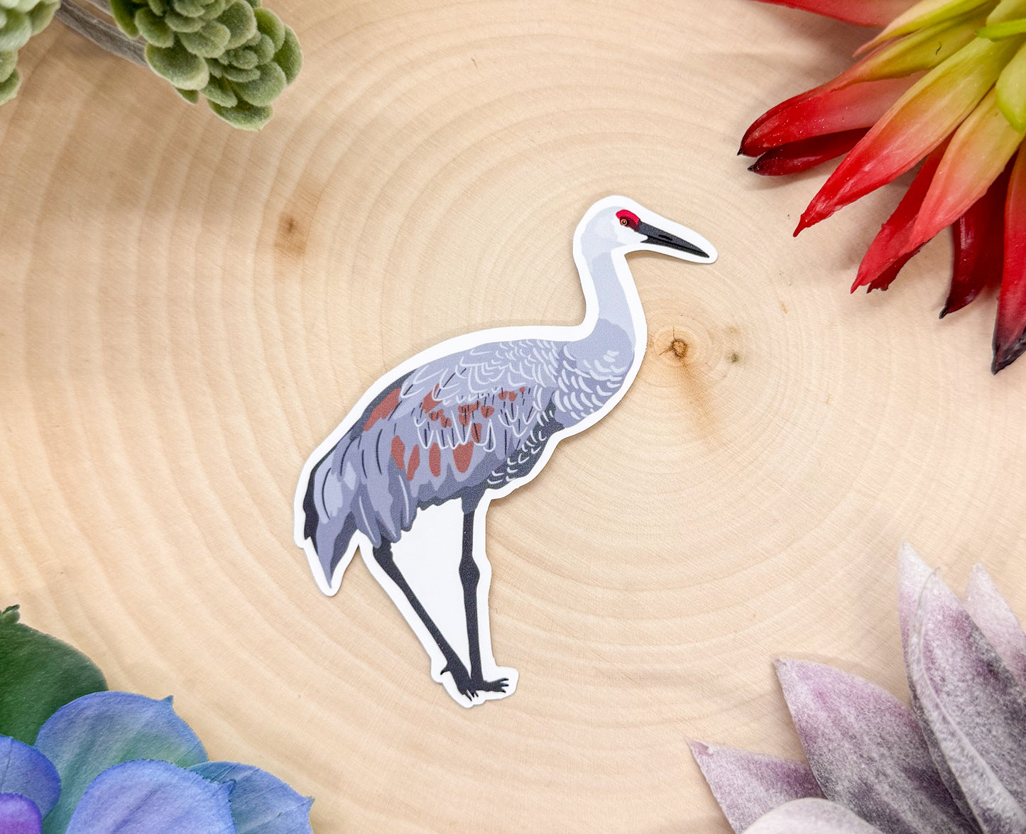 Sandhill Crane Sticker