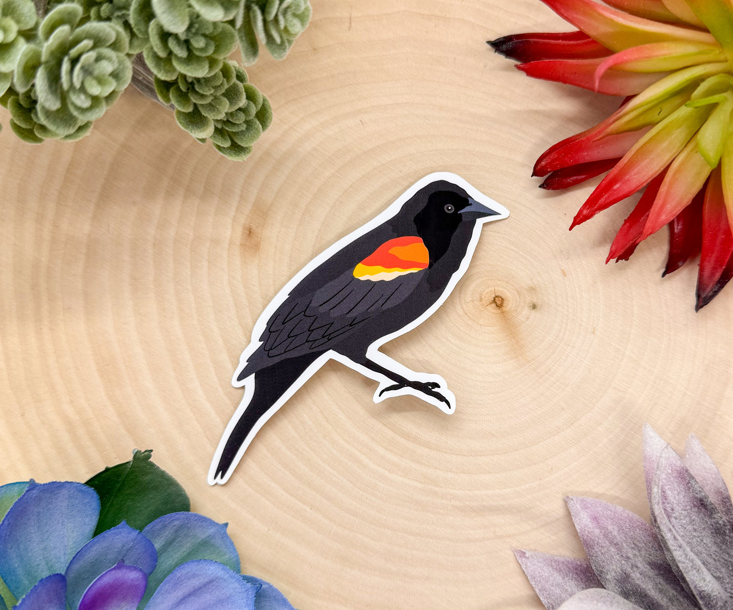 Red Winged Black Bird Sticker