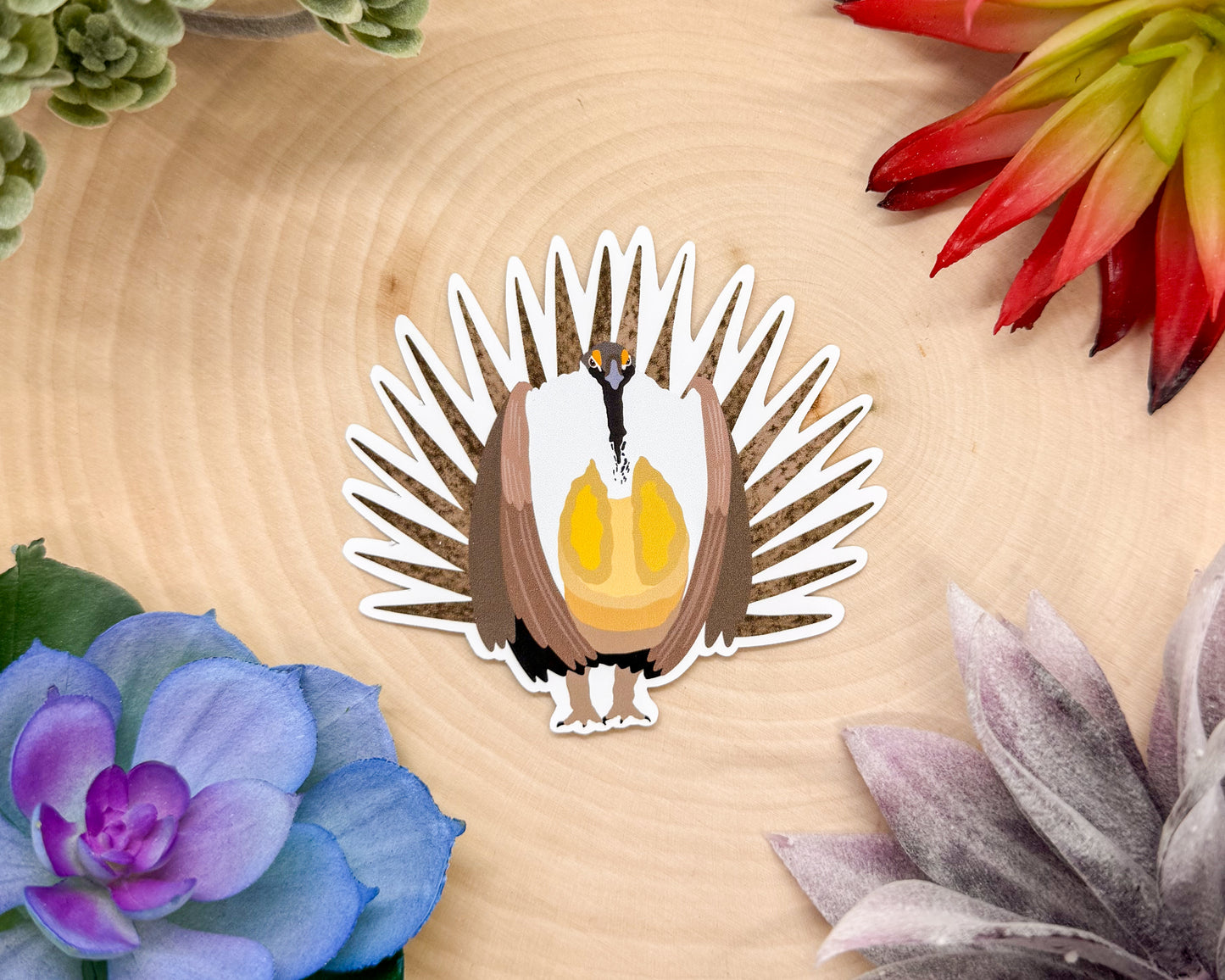 Sage Grouse Sticker