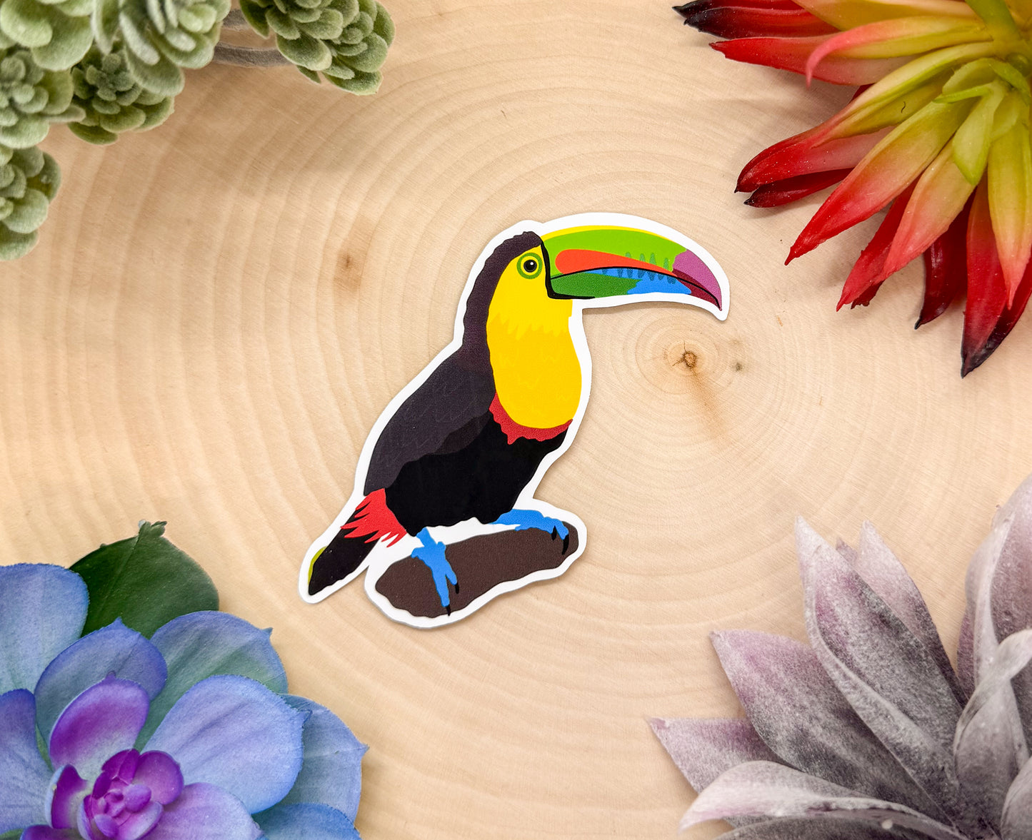 Keel Billed Toucan Sticker