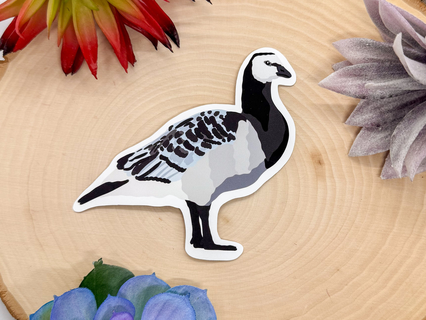 Barnacle Goose Sticker