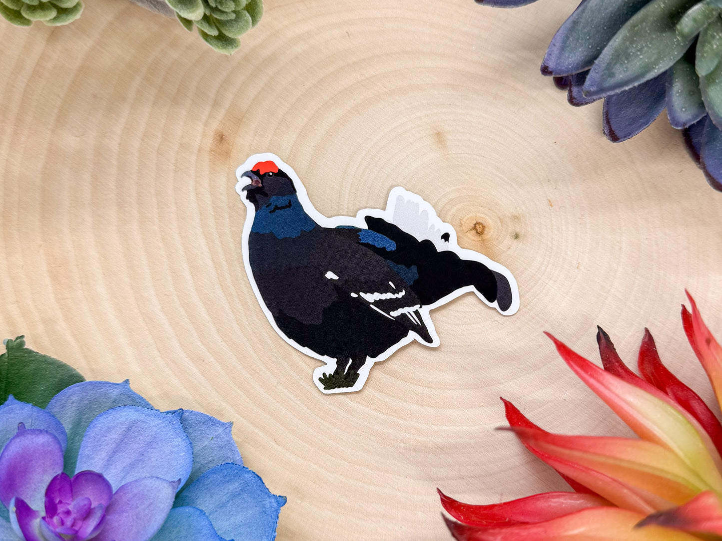 Black Grouse Sticker