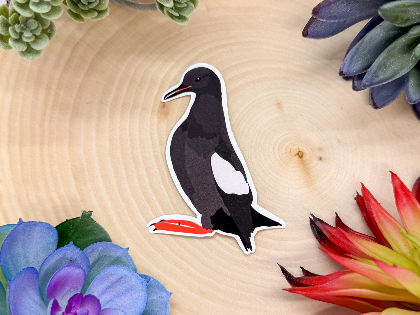Black Guillemot Sticker