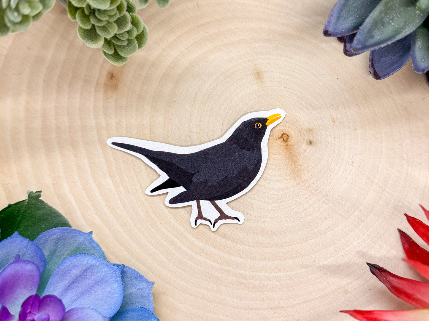 Common Blackbird Sticker