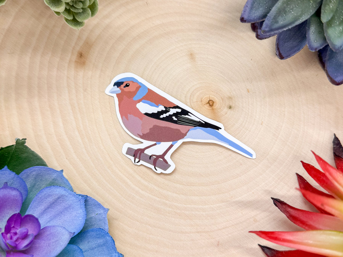 Common Chaffinch Sticker