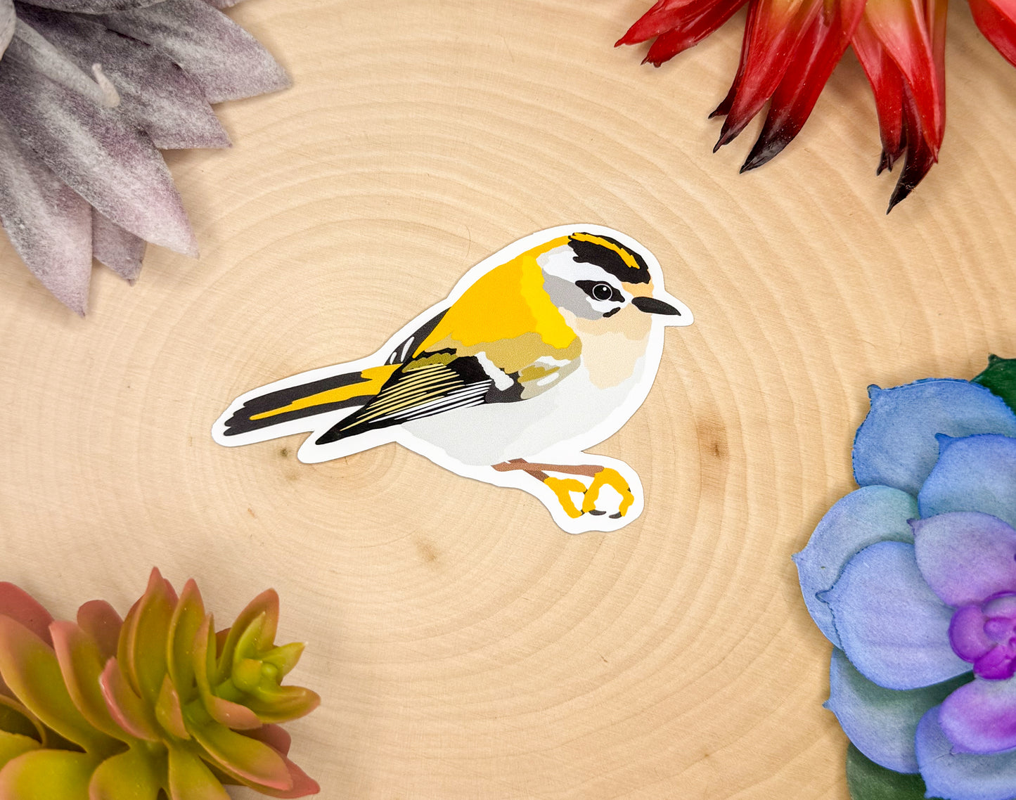 Common Firecrest Sticker