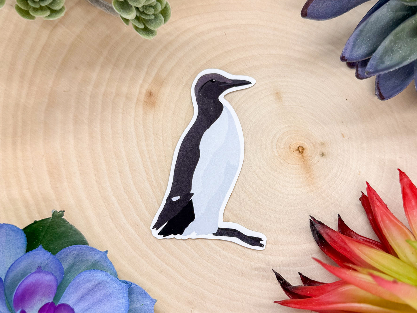 Common Murre Sticker