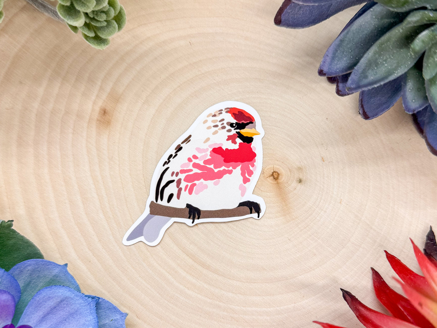 Common Redpoll Sticker