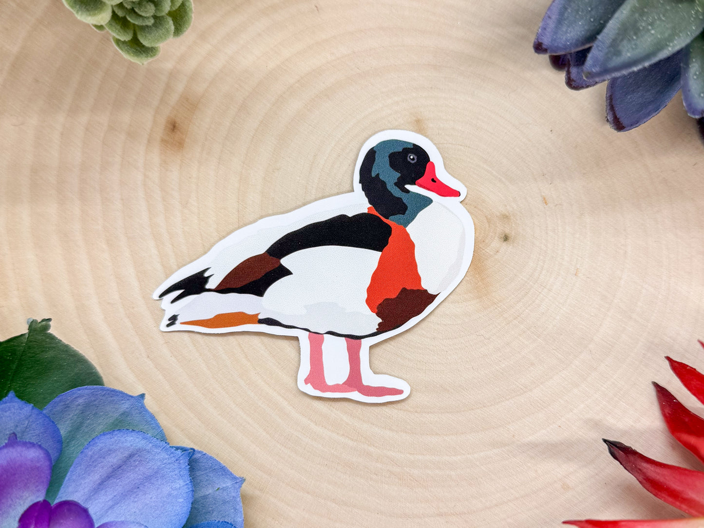 Common Shelduck Sticker