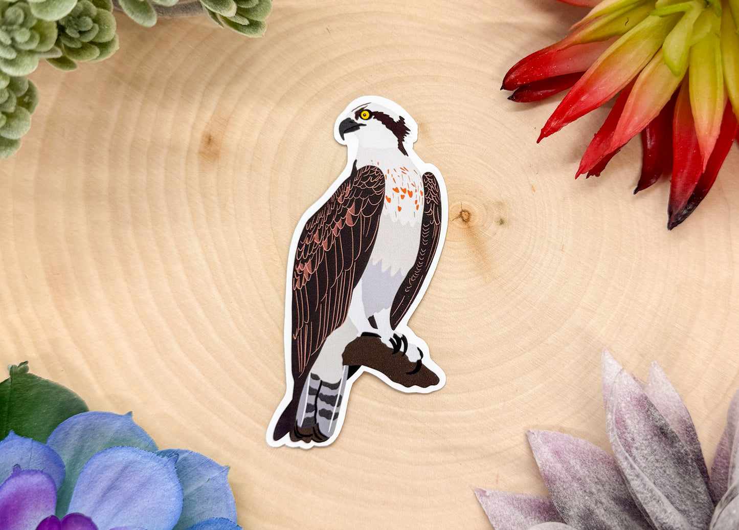 Osprey Sticker
