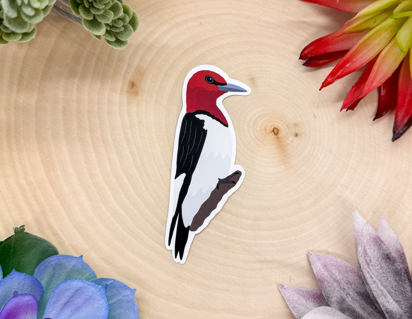 Red Headed Woodpecker Sticker