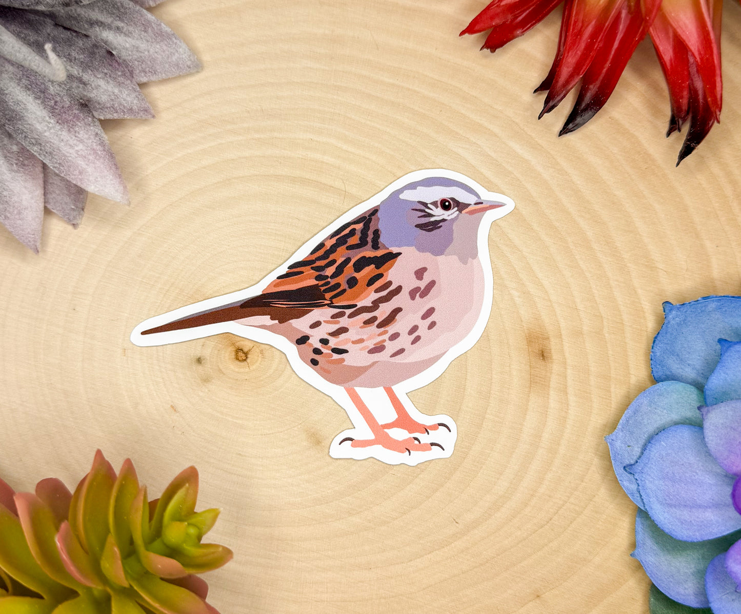 Dunnock Sticker