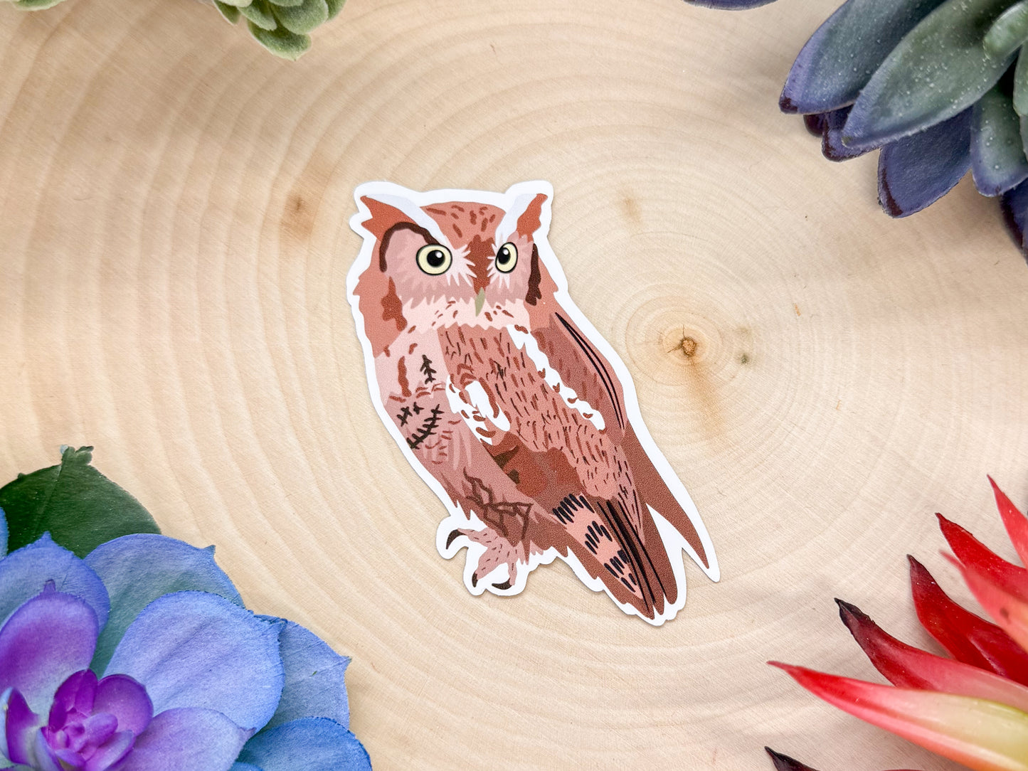 Eastern Screech Owl Red Morph Sticker
