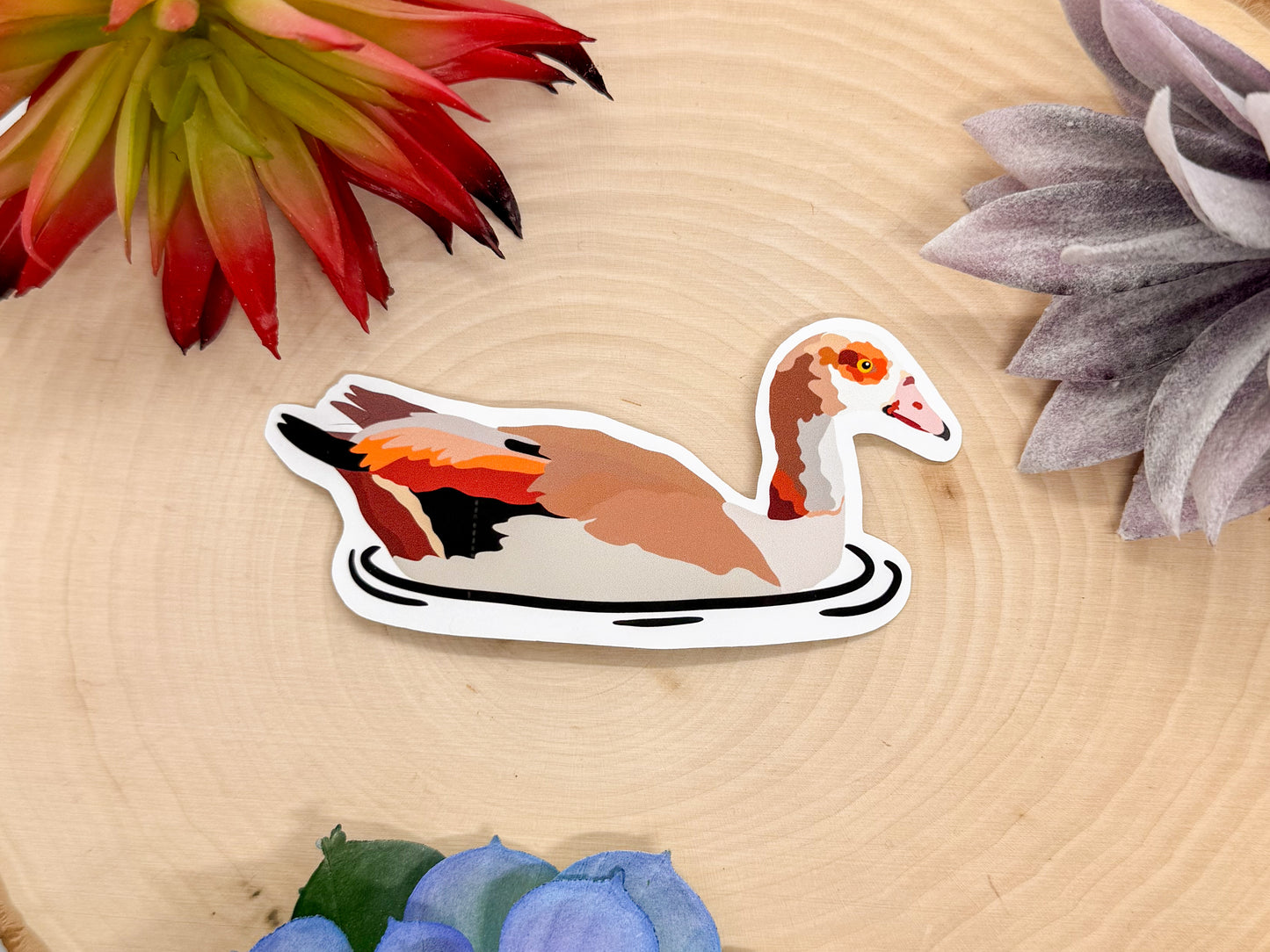 Egyptian Goose Sticker