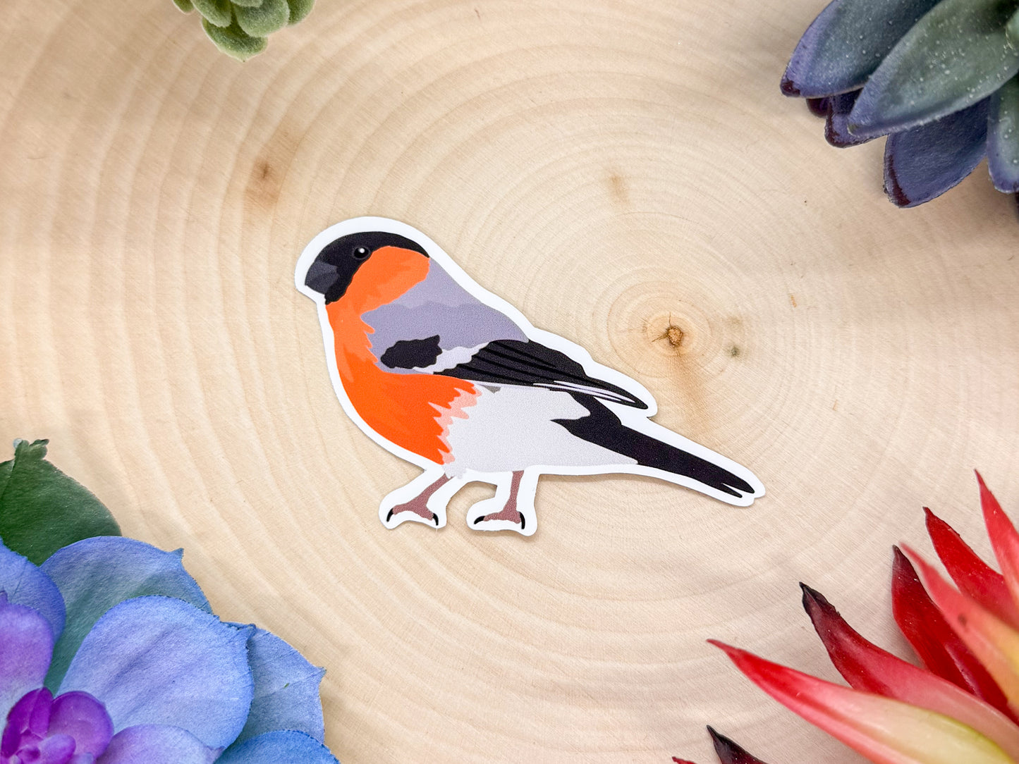 Eurasian Bullfinch Sticker