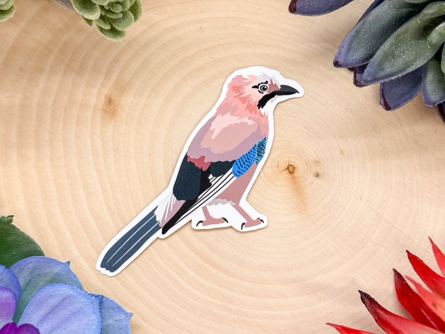 Eurasian Jay Sticker