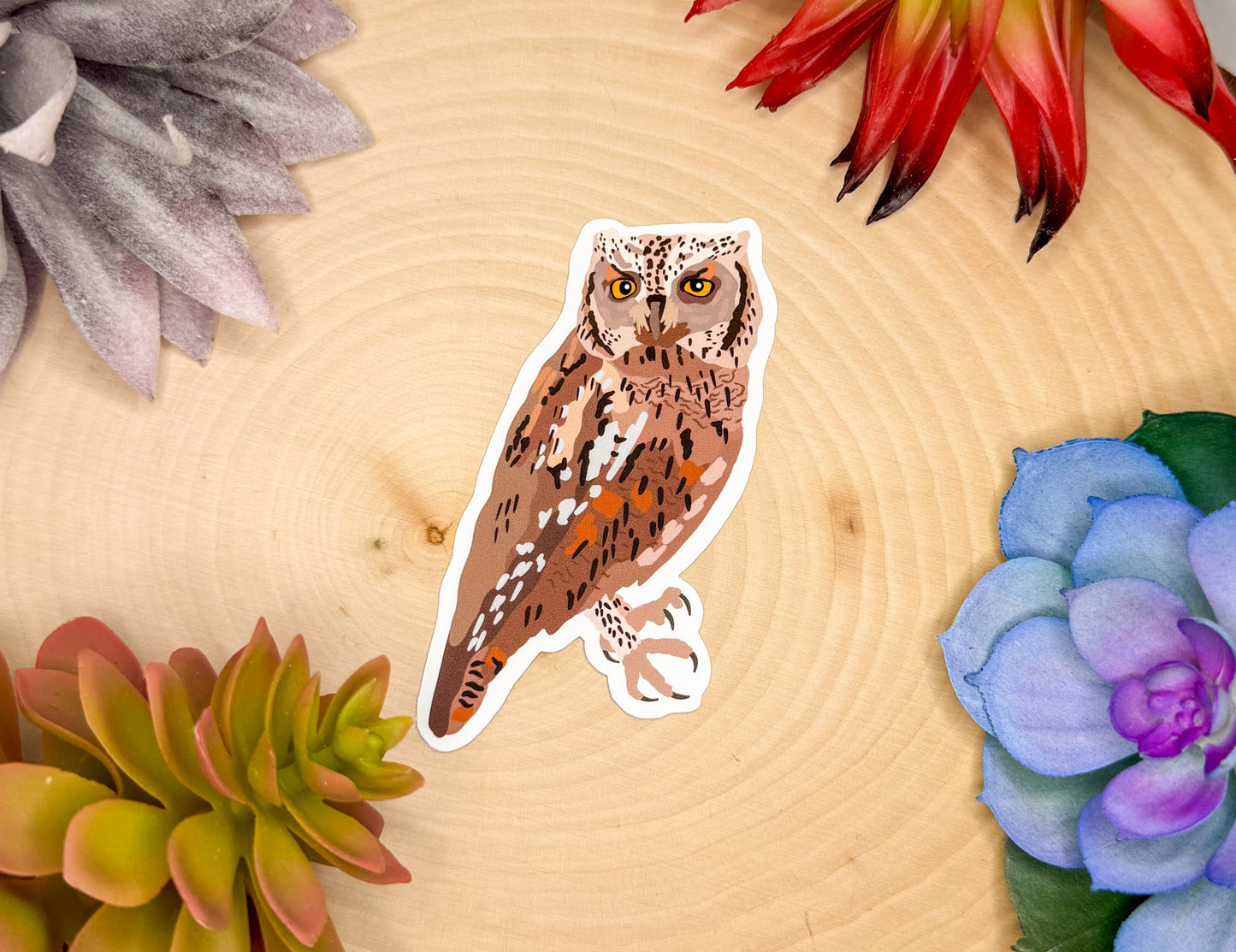 Eurasian Scops Owl Sticker