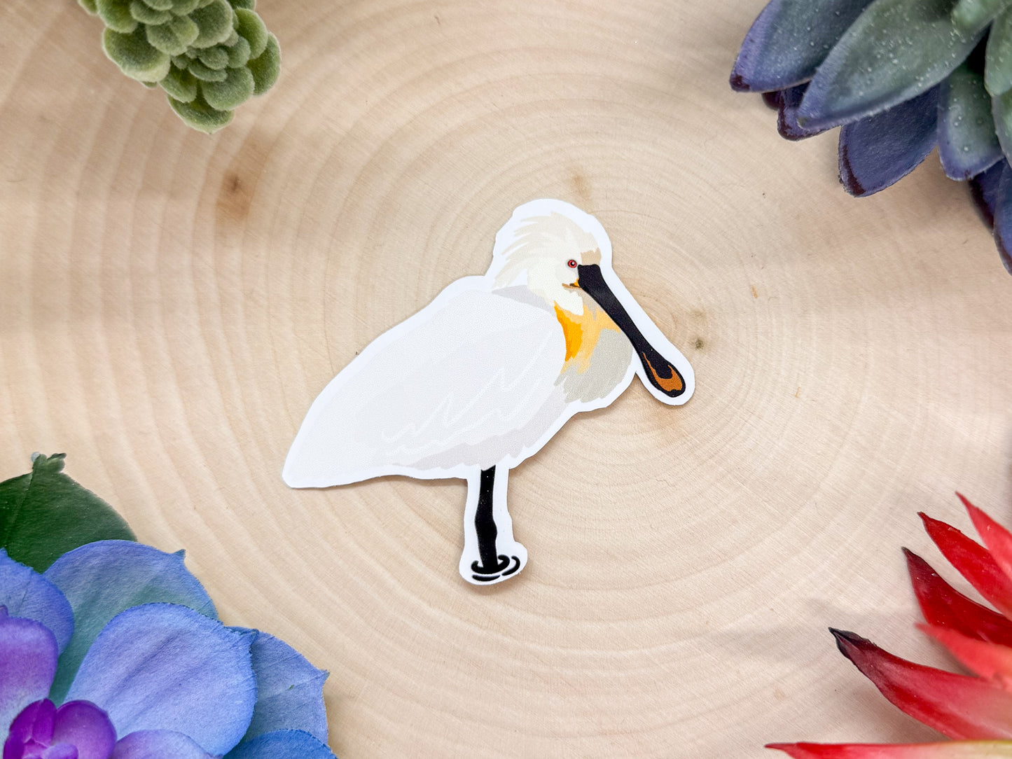 Eurasian Spoonbill Sticker