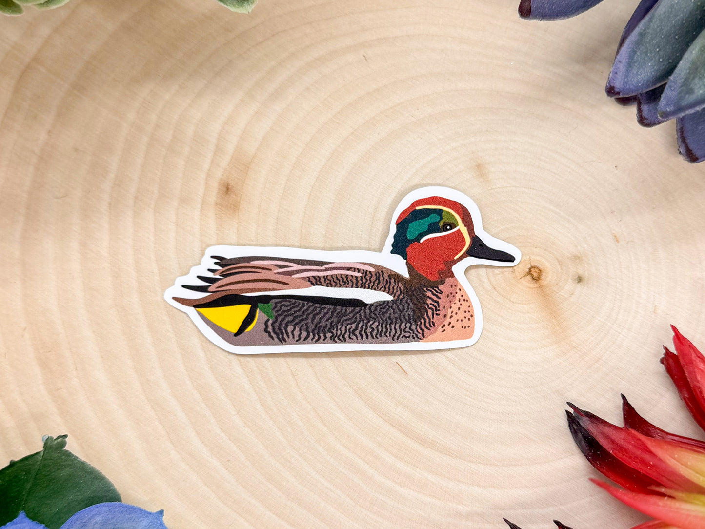 Eurasian Teal Sticker