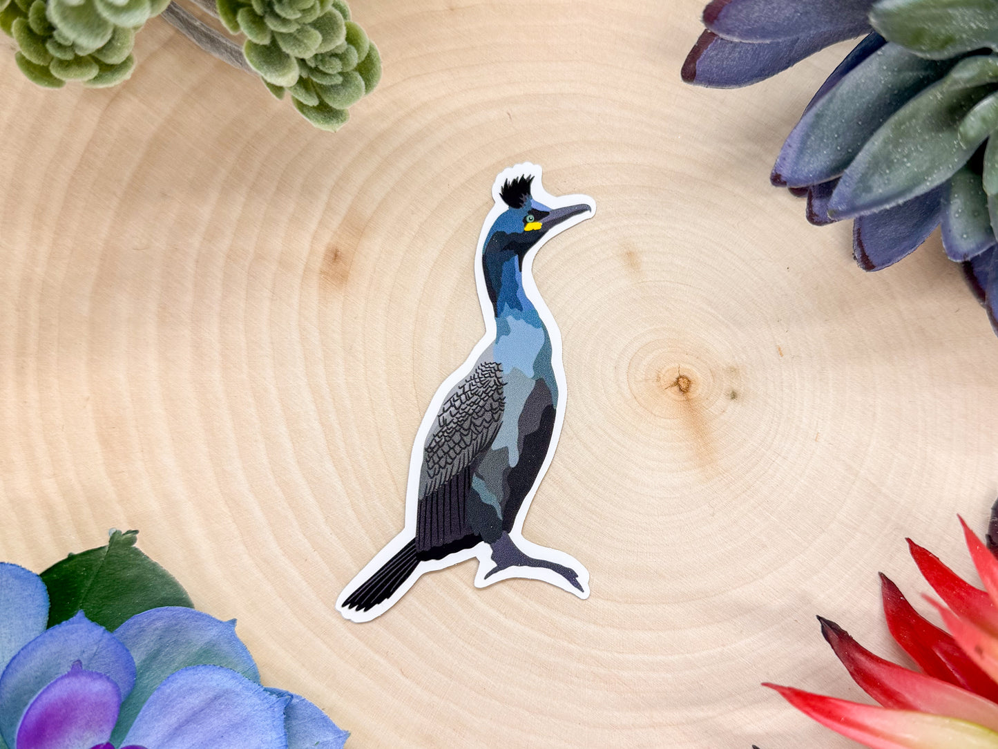 European Shag Sticker