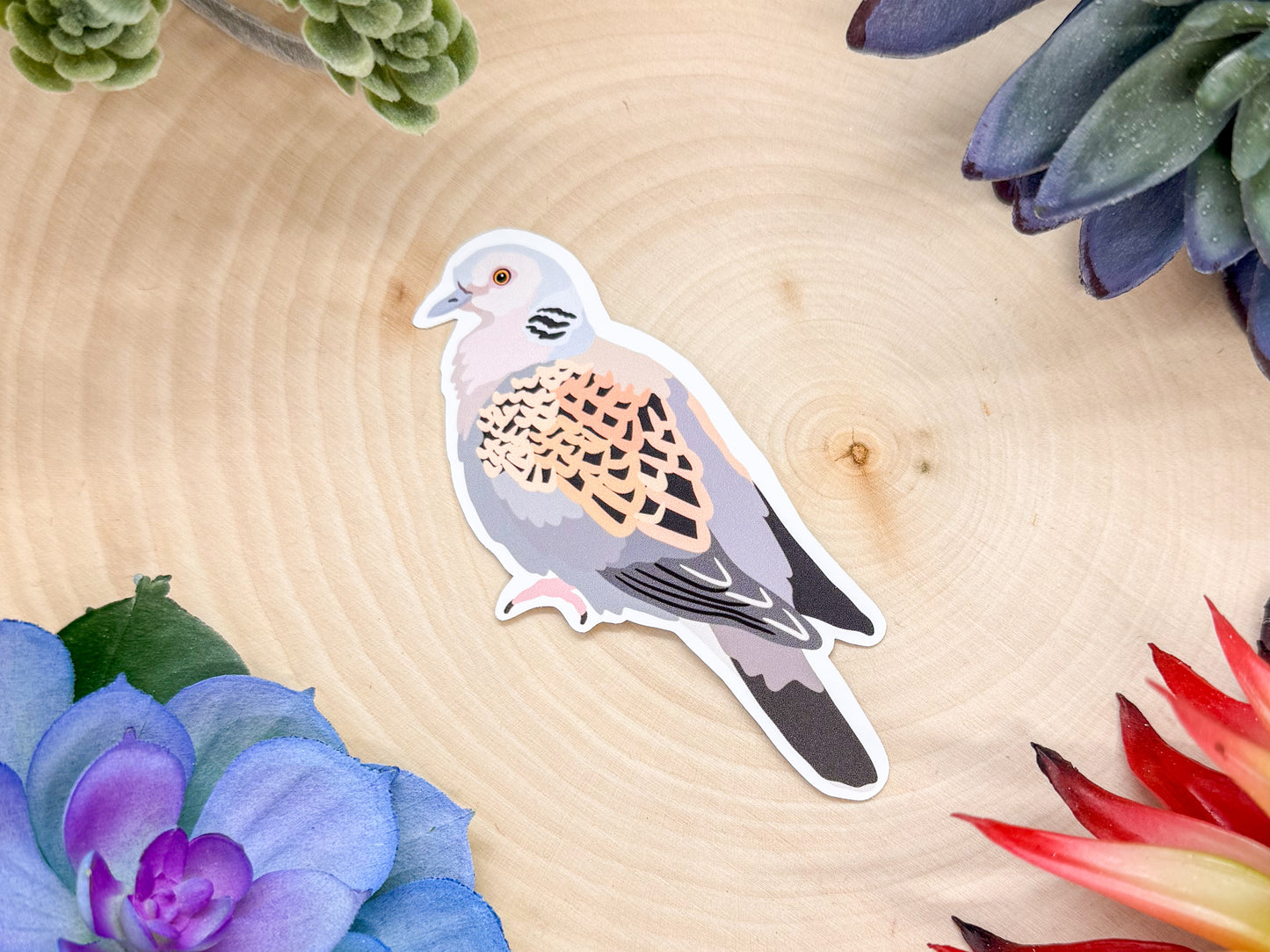 European Turtle Dove Sticker