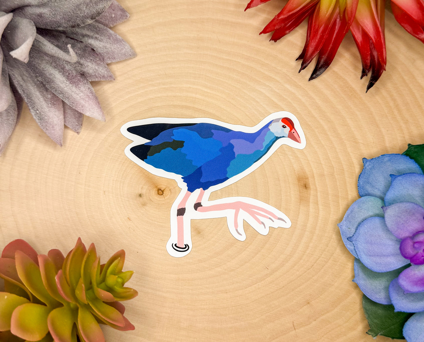 Gray Headed Swamphen Sticker