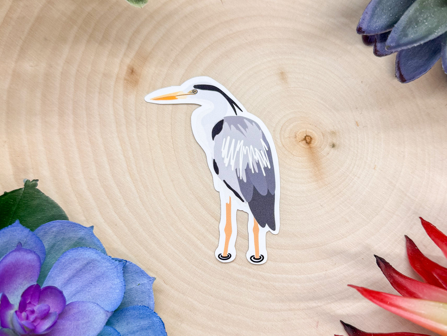 Gray Heron Sticker