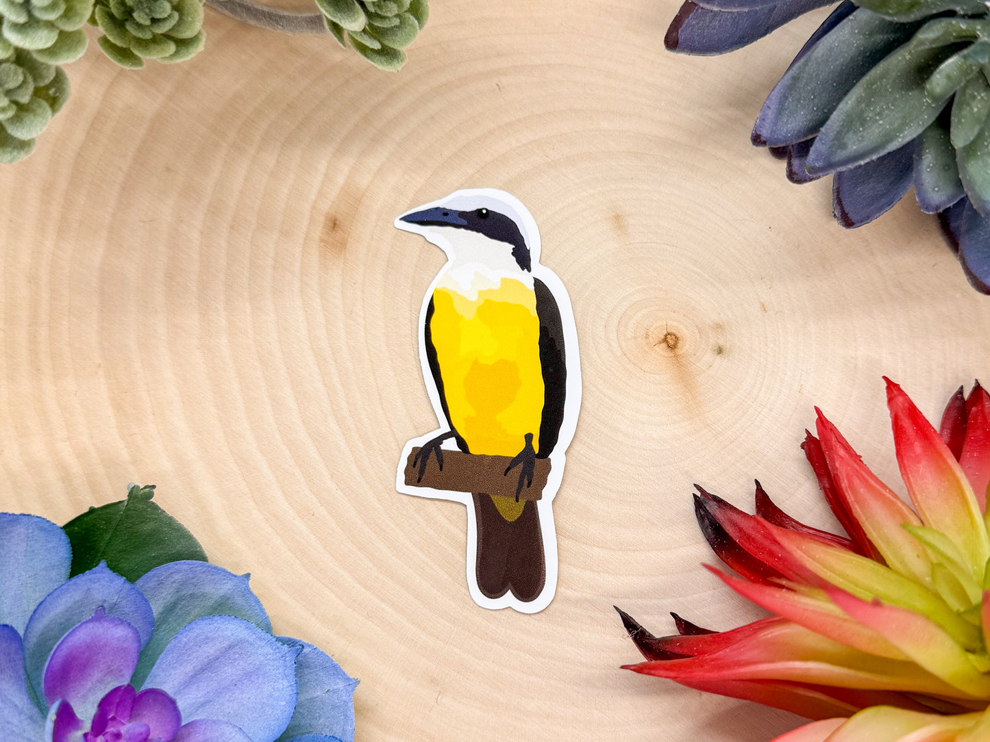 Great Kiskadee Sticker
