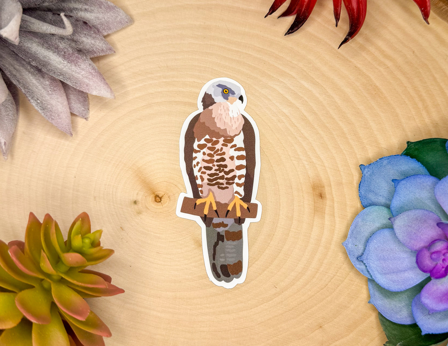Honey Buzzard Sticker