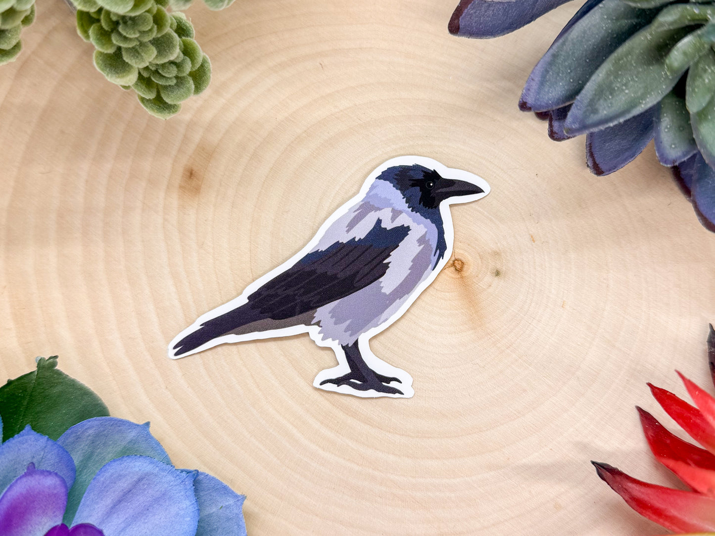 Hooded Crow Sticker