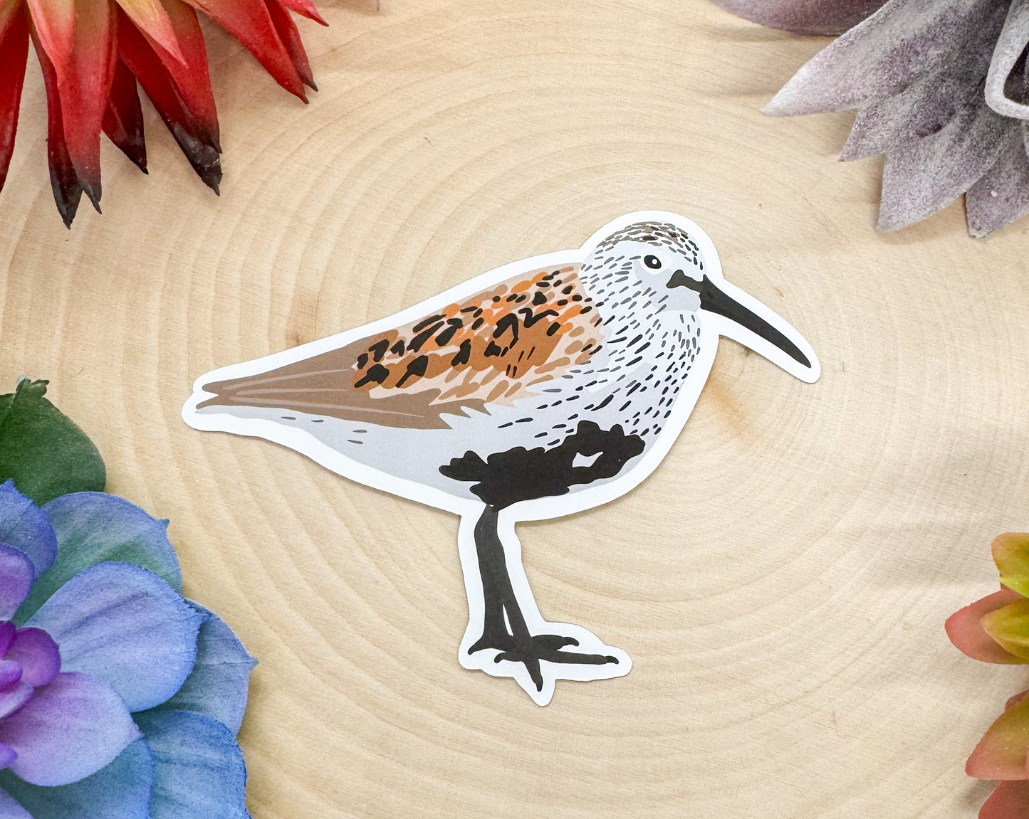 Dunlin Sticker