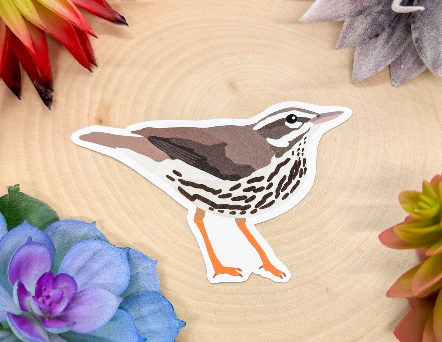 Louisiana Waterthrush Sticker