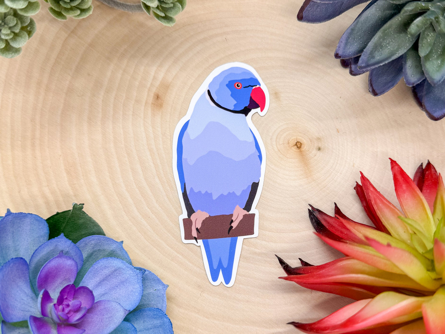 Indian Ring-Necked Parrot Sticker