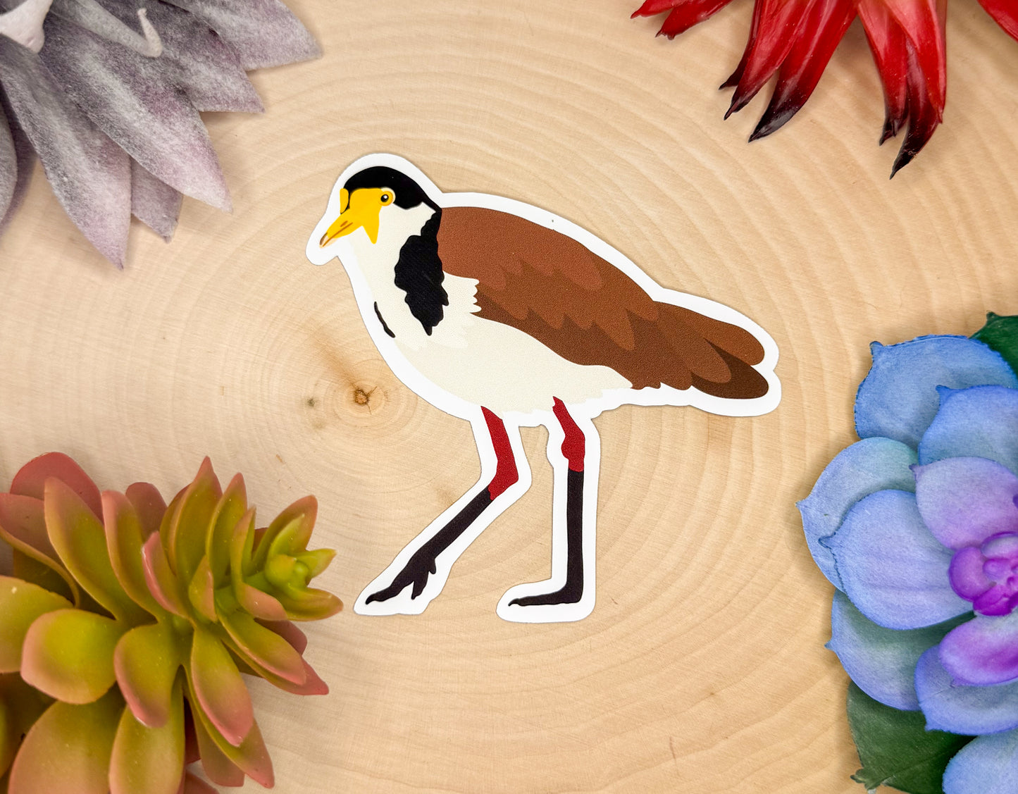 Masked Lapwing Sticker