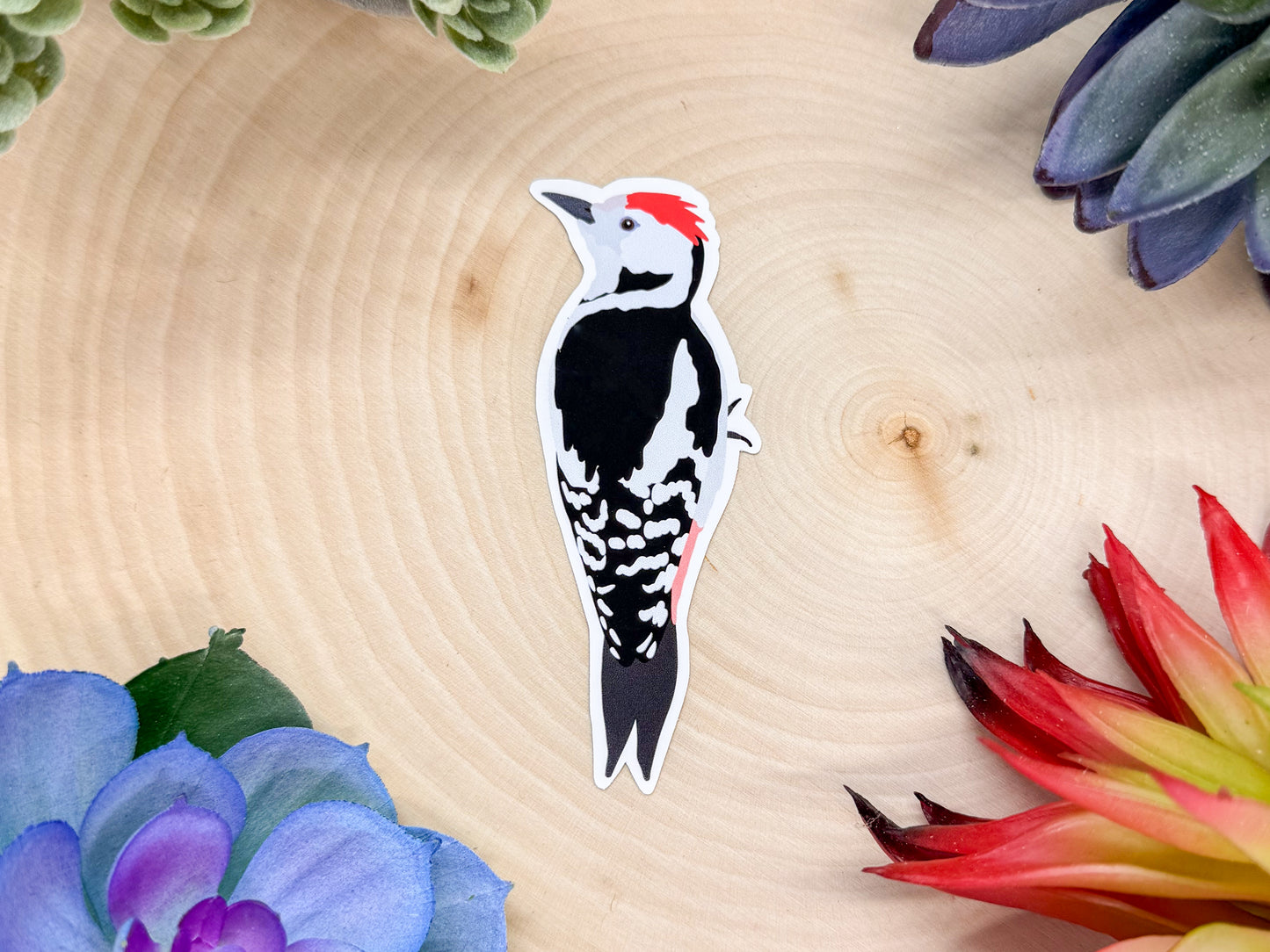 Middle Spotted Woodpecker Sticker