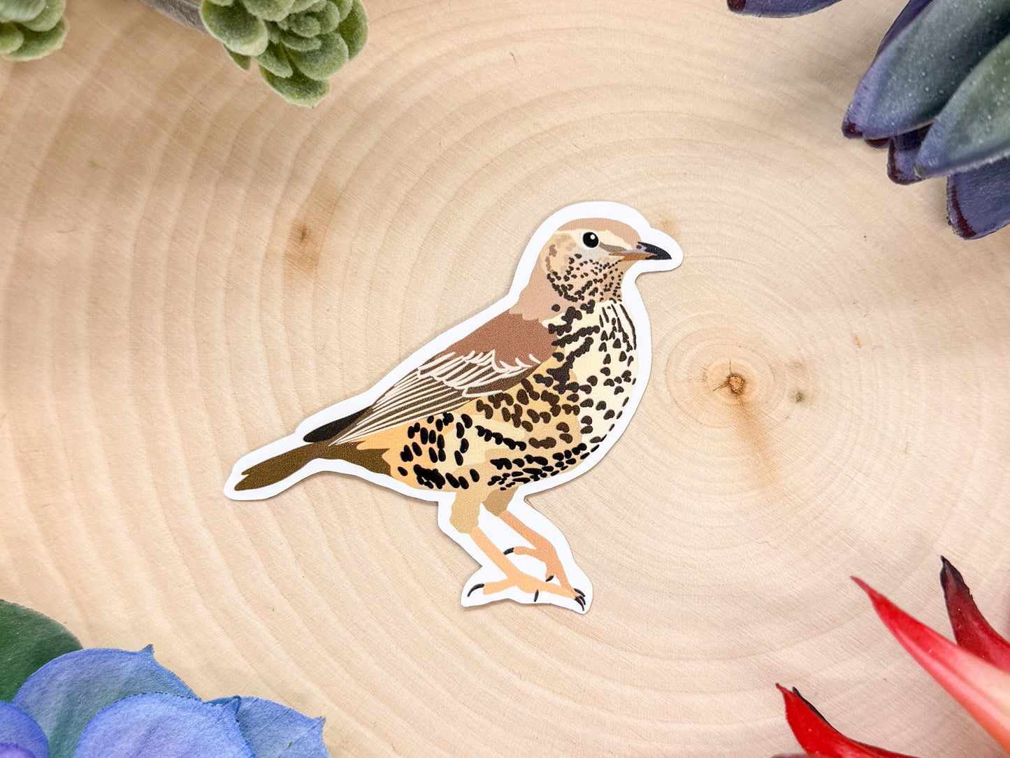 Mistle Thrush Sticker