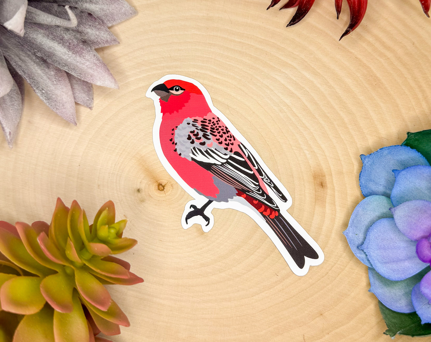 Pine Grosbeak Sticker