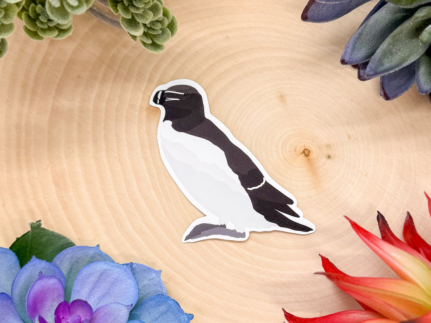 Razorbill Sticker