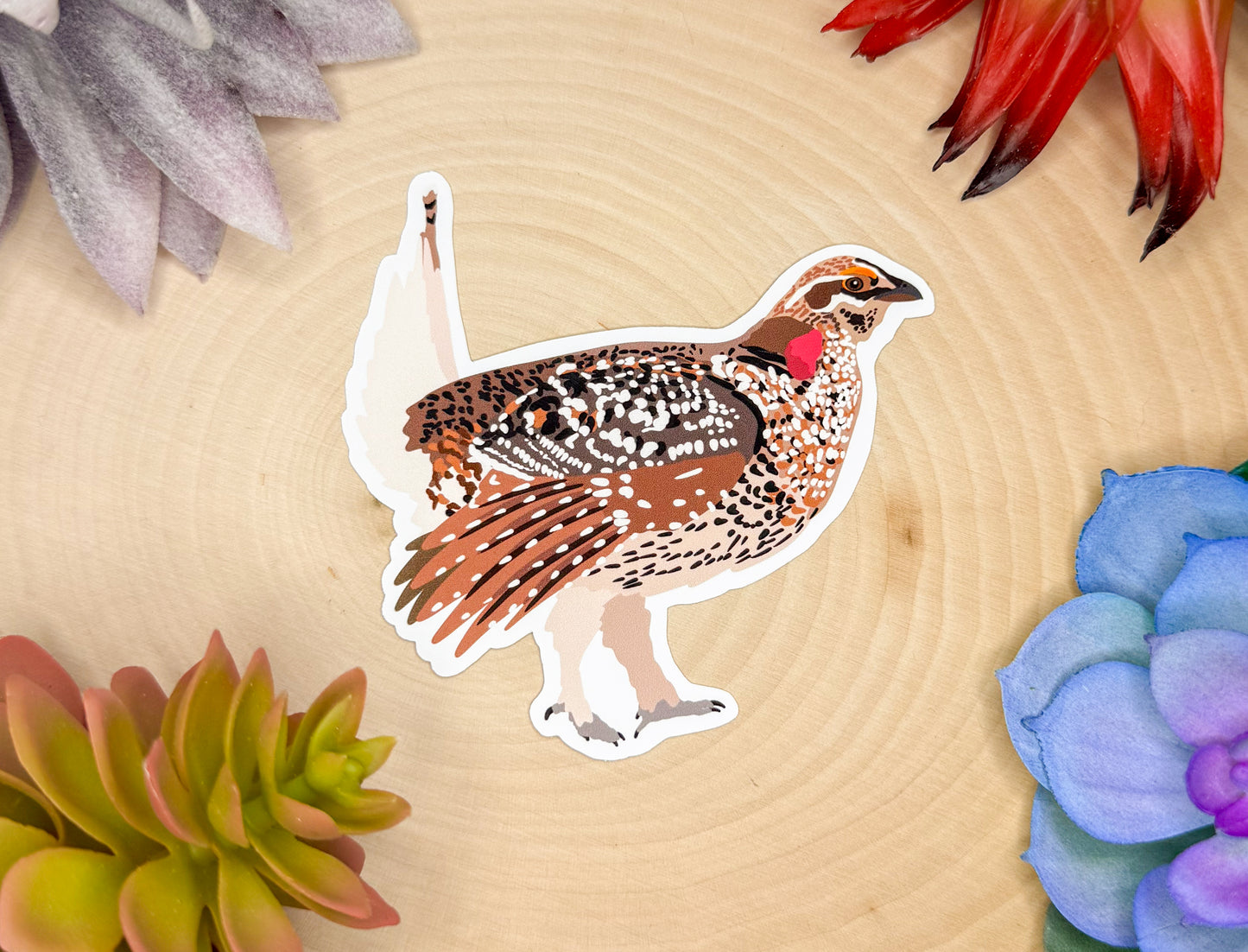 Sharp Tailed Grouse Sticker