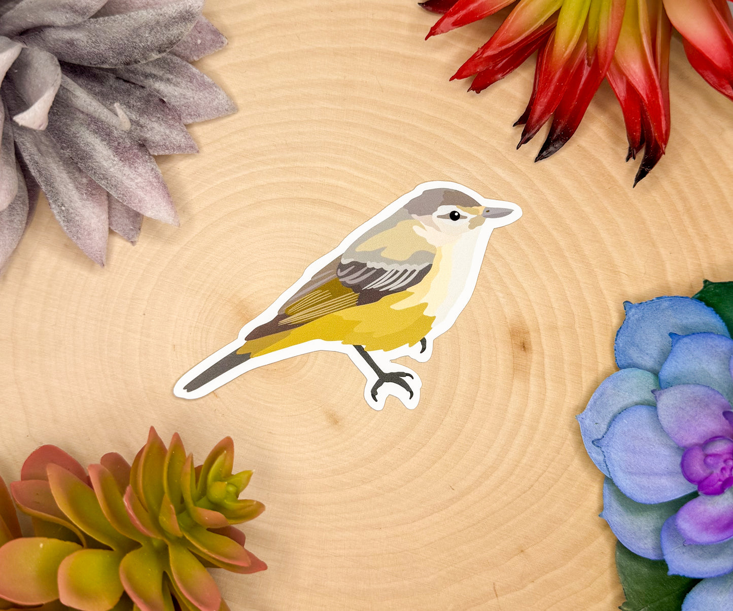 Warbling Vireo Sticker