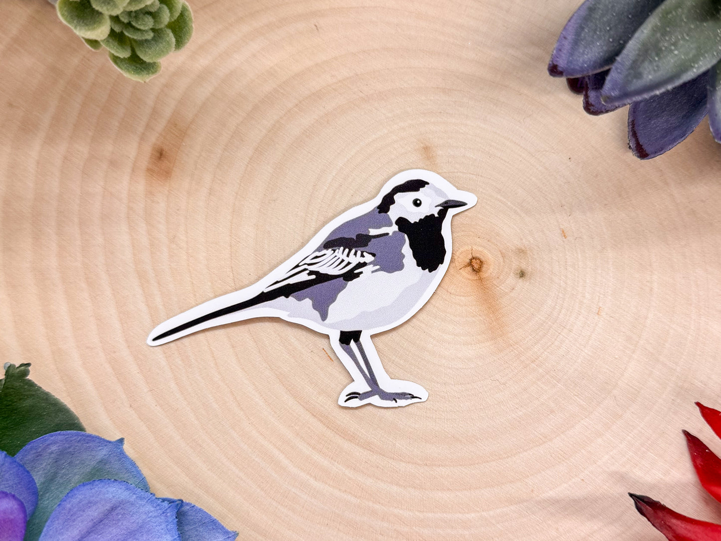 White Wagtail Sticker